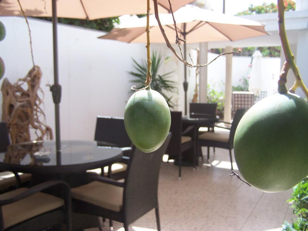 דקר Villa Mermoz מראה חיצוני תמונה